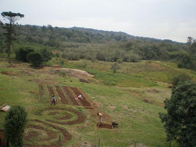 huerta a vista de pajaro.JPG